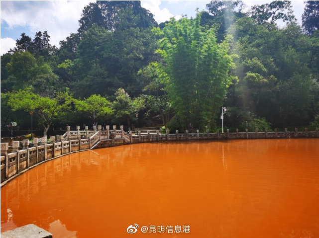 昆明信息港微博