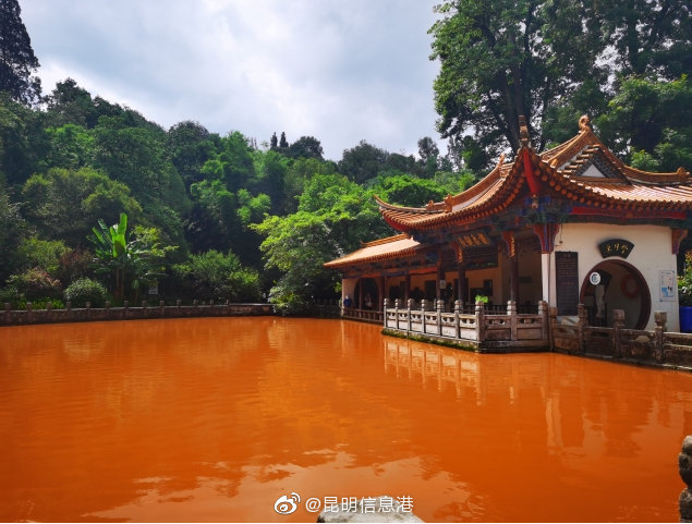 昆明信息港微博