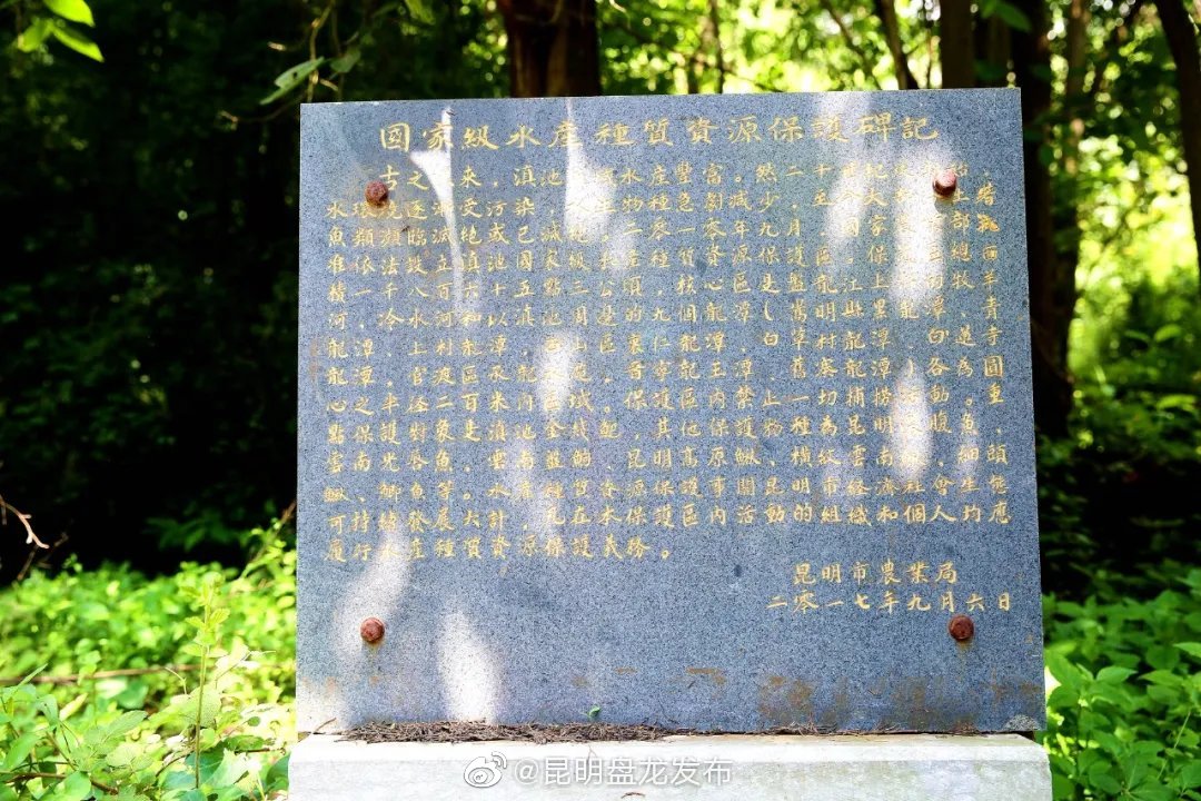 “昆明盘龙发布”微博