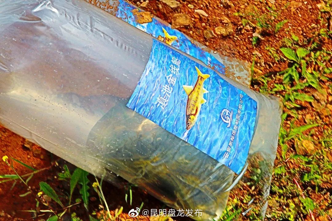 “昆明盘龙发布”微博