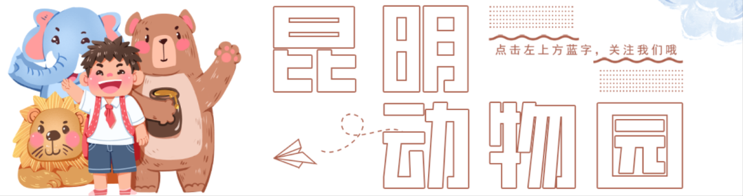 昆明动物园