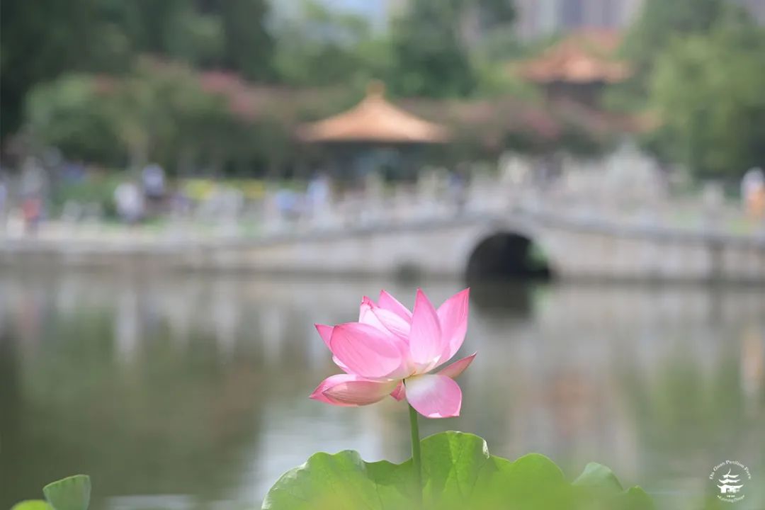 大观楼