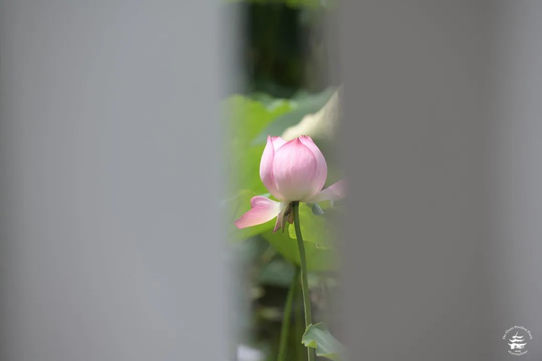 大观楼