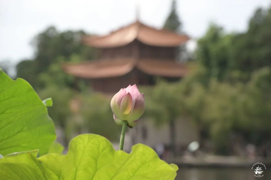 大观楼