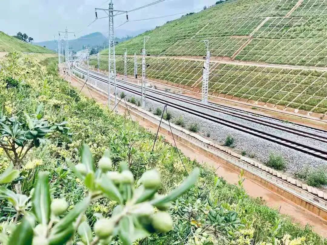 云南省人民政府网