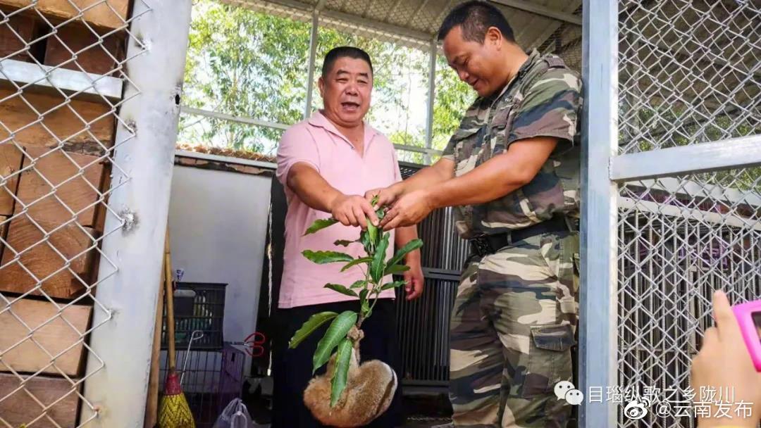 “云南发布”微博