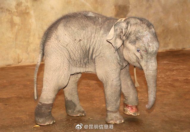 昆明信息港微博