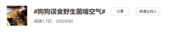 春城晚报(微信)