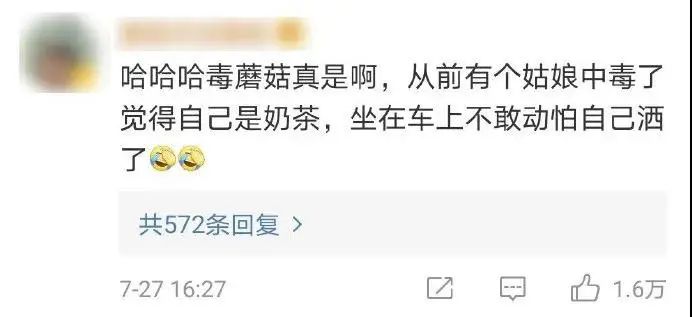 春城晚报(微信)