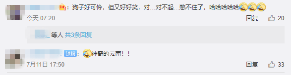 春城晚报(微信)