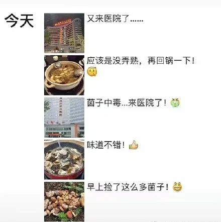 春城晚报(微信)