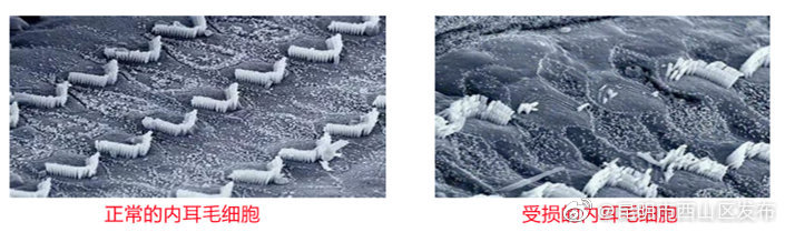 “昆明市西山区发布”微博