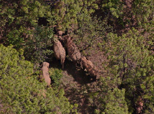玉溪发布(微信)