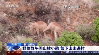 玉溪发布(微信)