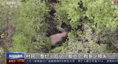 玉溪发布(微信)