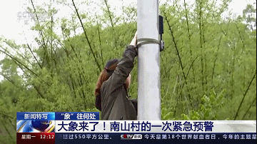 玉溪发布(微信)