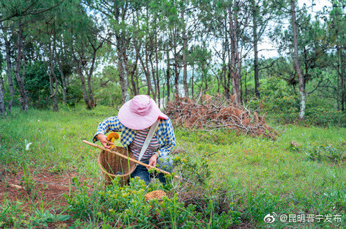 “昆明晋宁发布”微博
