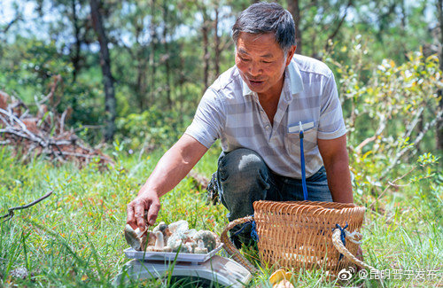 “昆明晋宁发布”微博