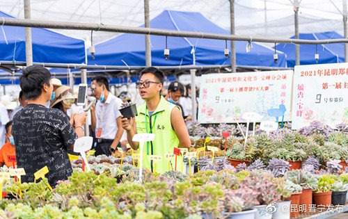 “昆明晋宁发布”微博