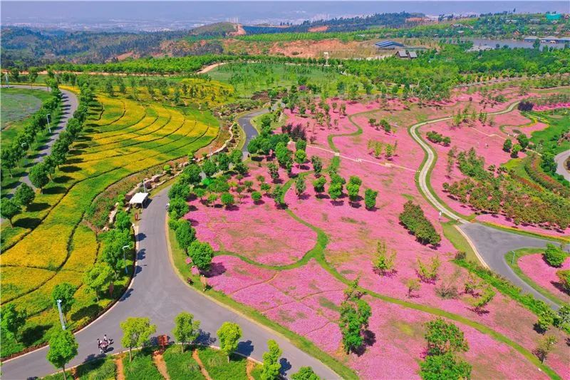 红河文旅(微信)