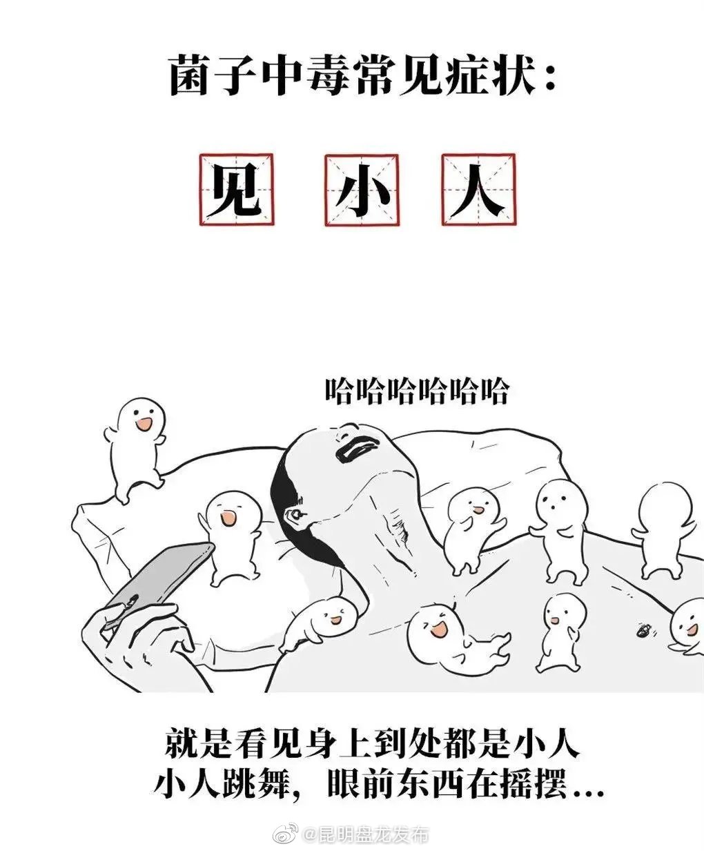 狗狗也见小人人？别笑！云南已发生多起食用野生菌中毒和死亡事件！