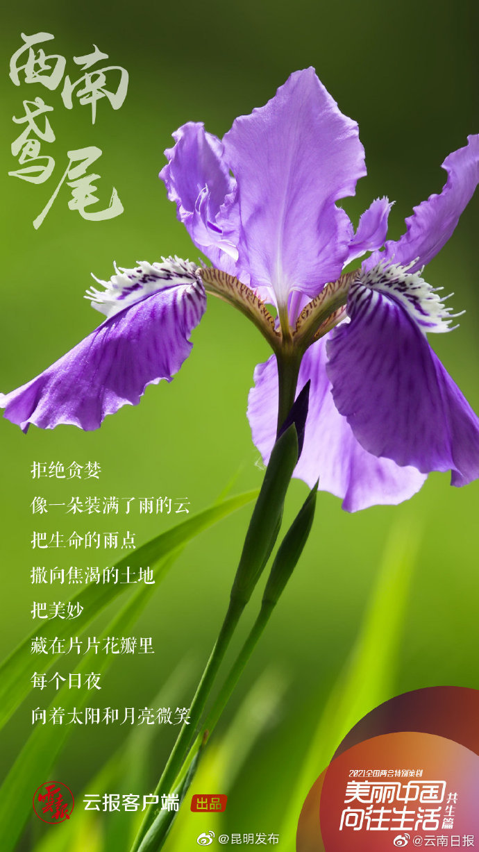 “昆明发布”微博
