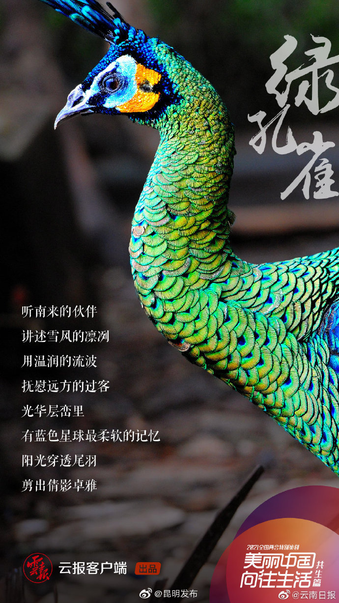 “昆明发布”微博
