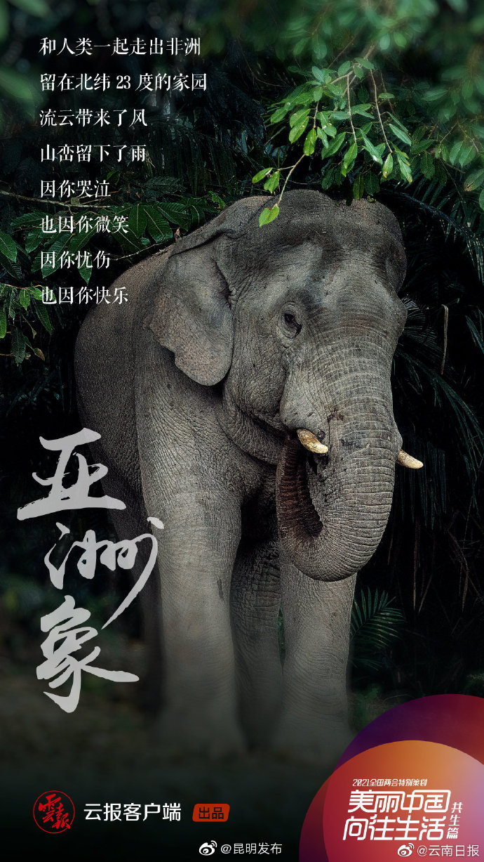 “昆明发布”微博