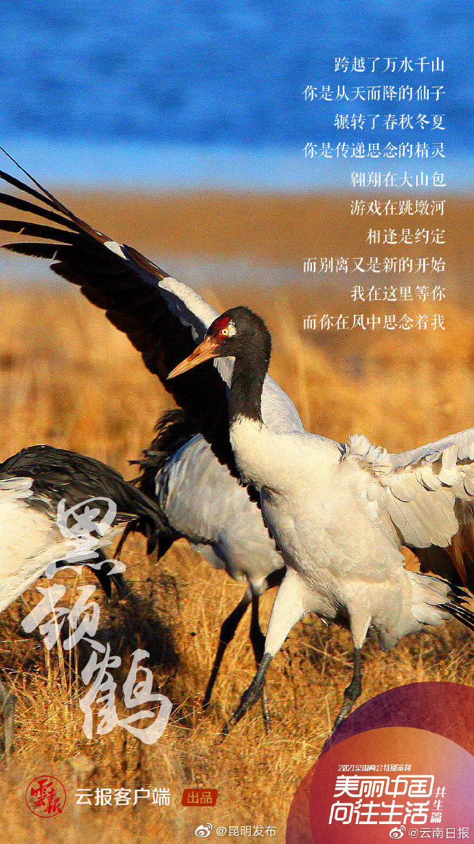 “昆明发布”微博