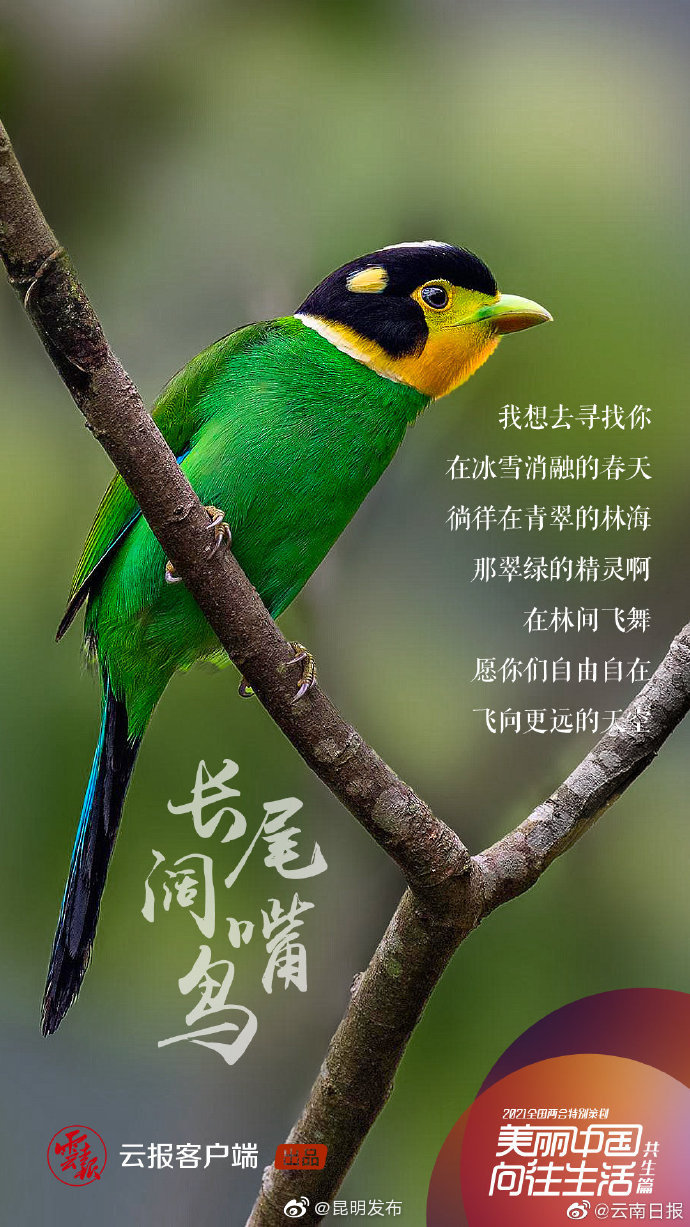 “昆明发布”微博