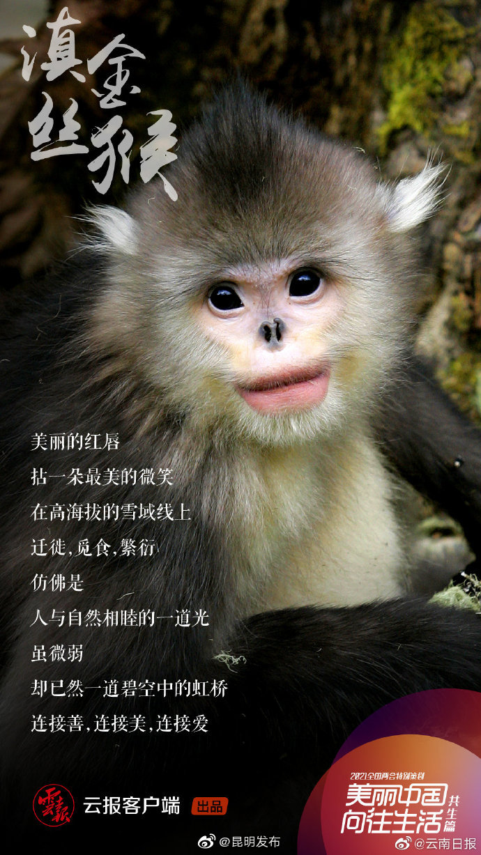 “昆明发布”微博