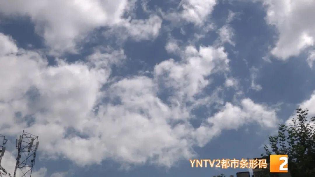 掌上春城(微信)