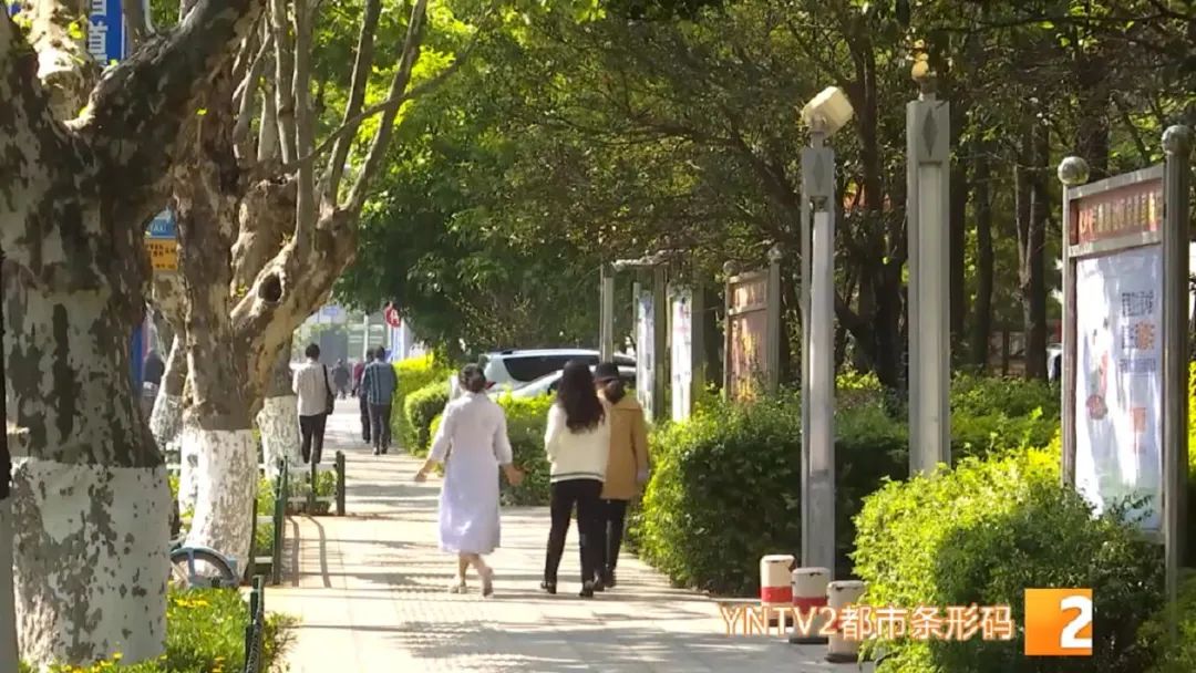 掌上春城(微信)