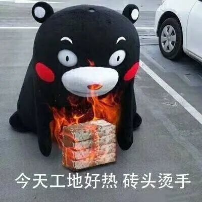 掌上春城(微信)