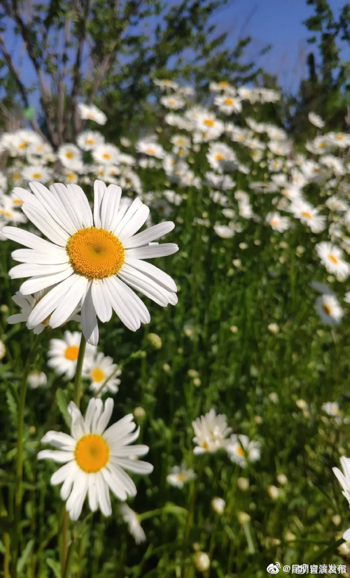 关上街道：打造养老示范“官渡模式”