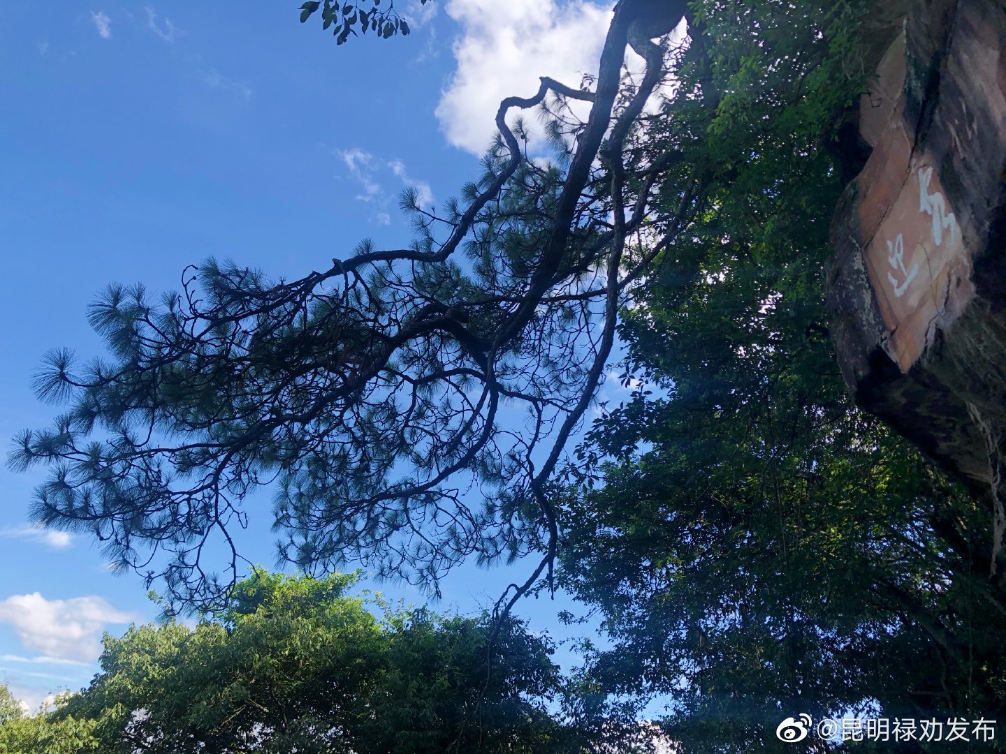 “昆明禄劝发布”微博