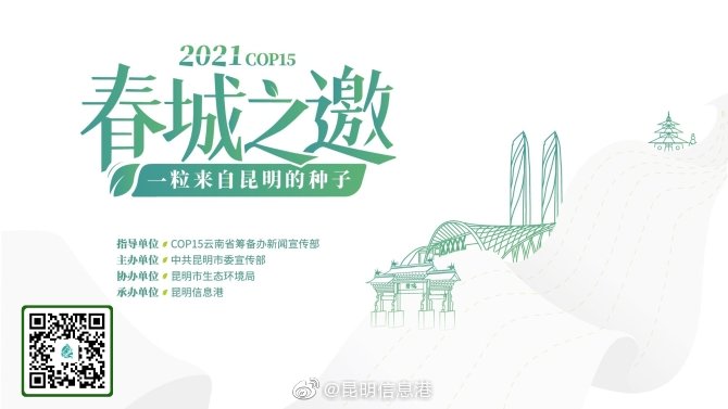 昆明信息港微博