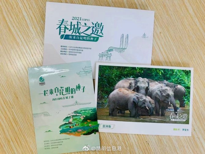 昆明信息港微博