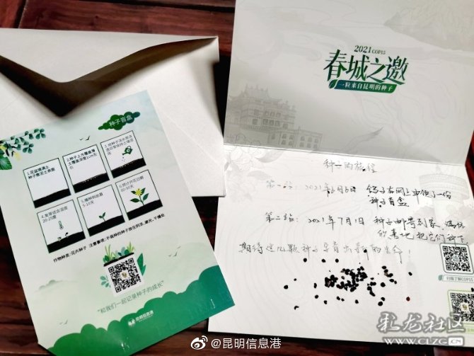 昆明信息港微博