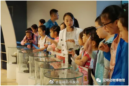 “昆明五华发布”微博