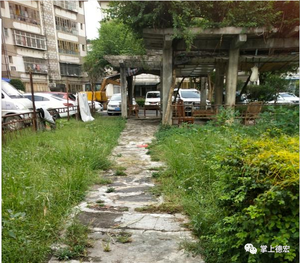 德宏团结报(微信)