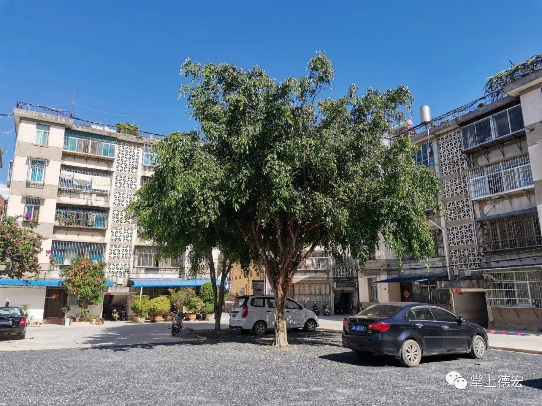 德宏团结报(微信)