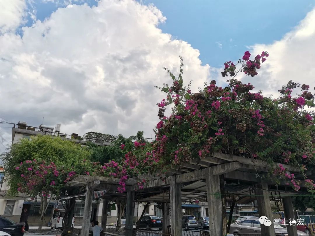 德宏团结报(微信)