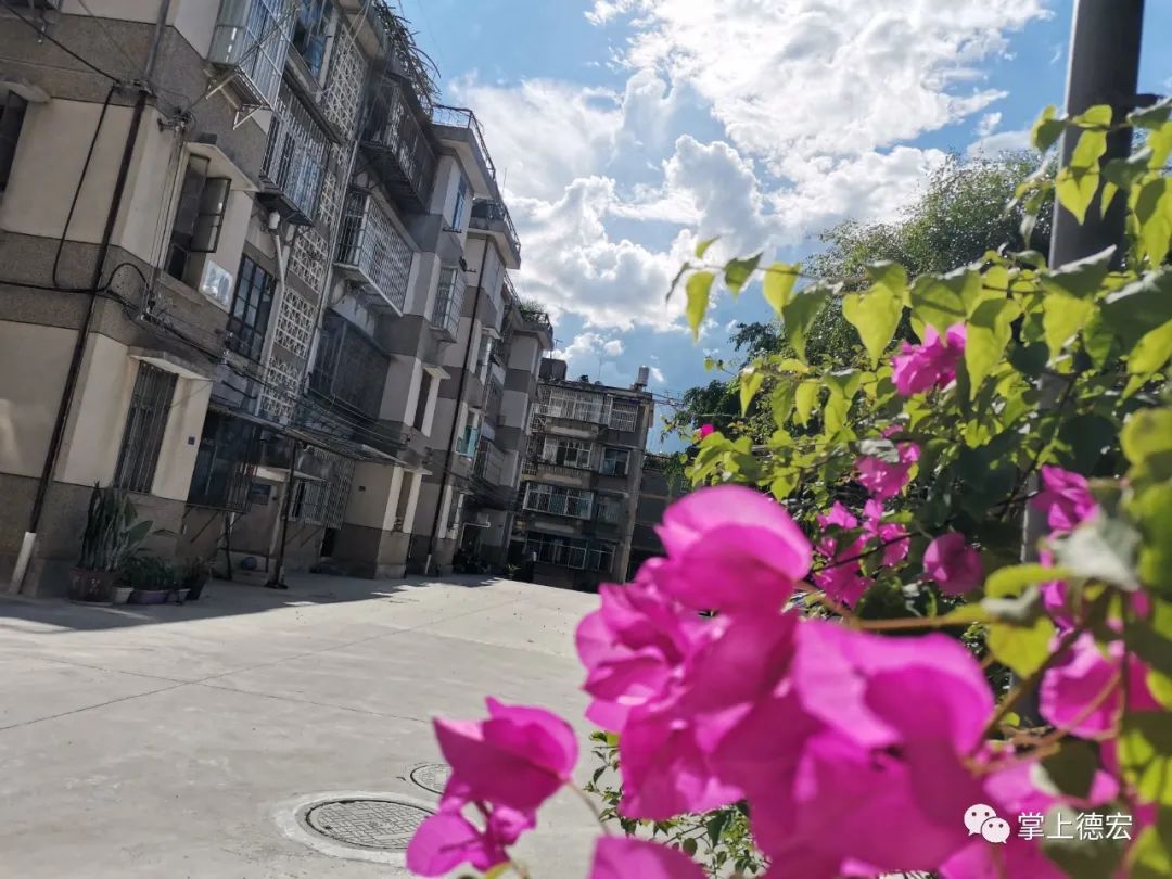 德宏团结报(微信)