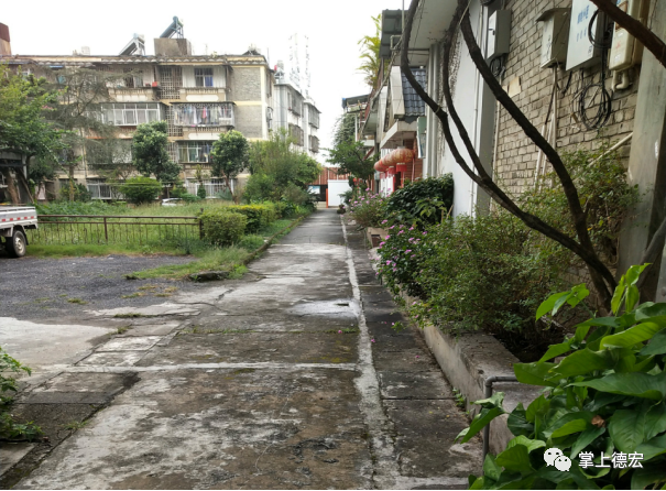 德宏团结报(微信)