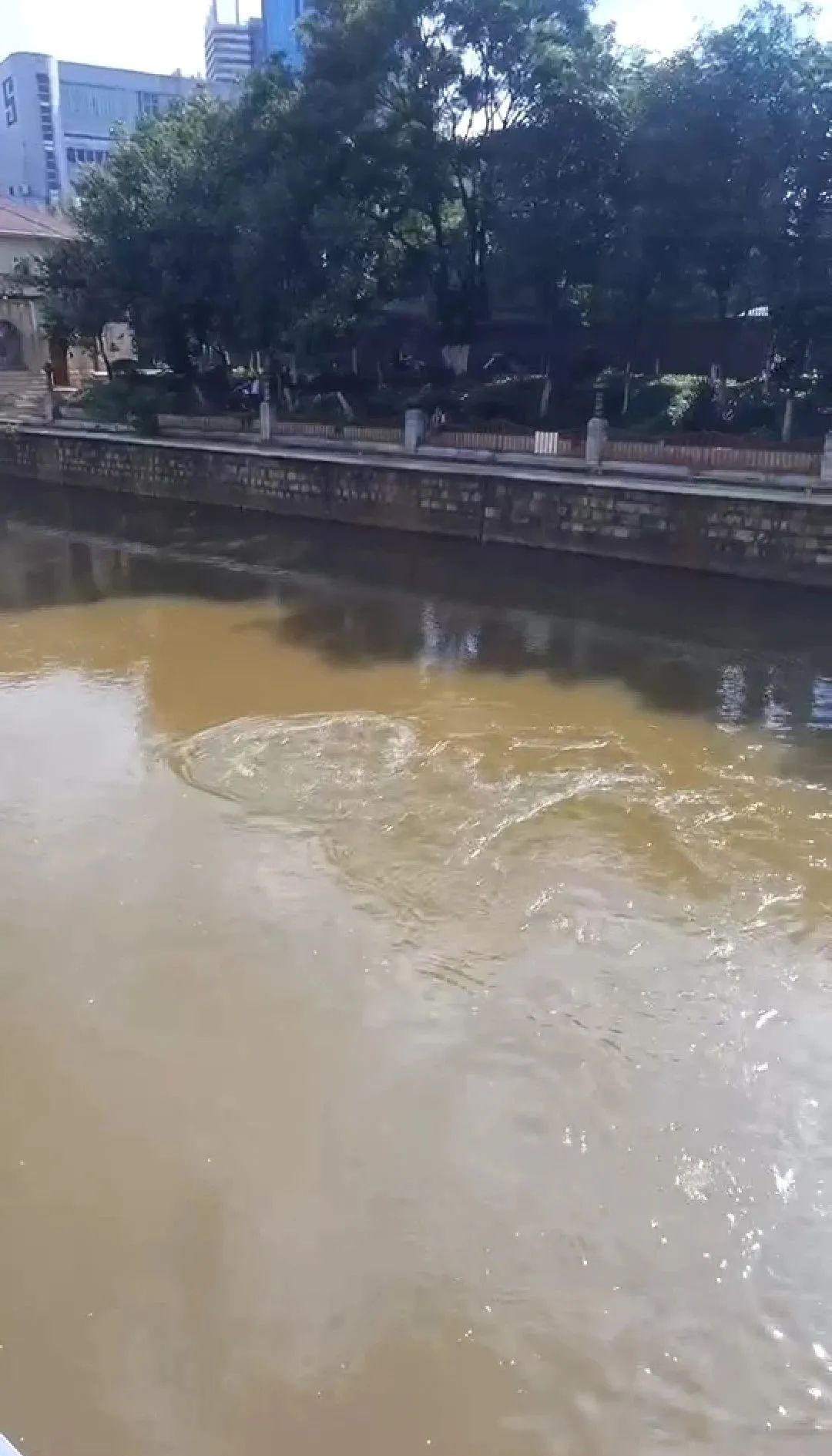 掌上春城(微信)