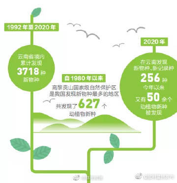 “昆明富民发布”微博