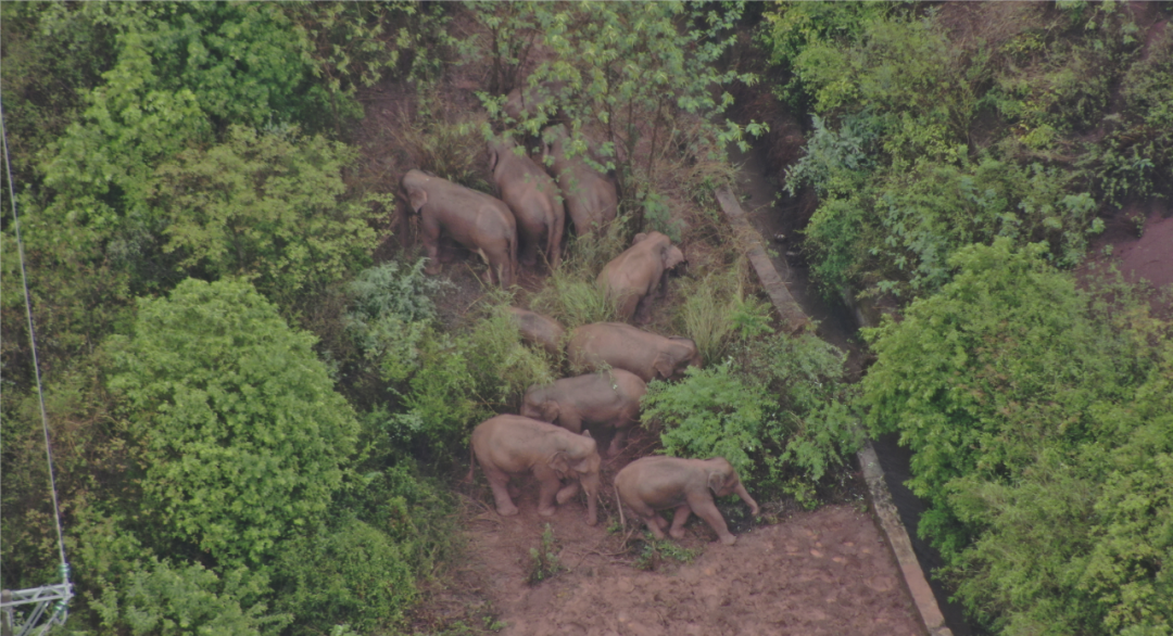 玉溪发布(微信)