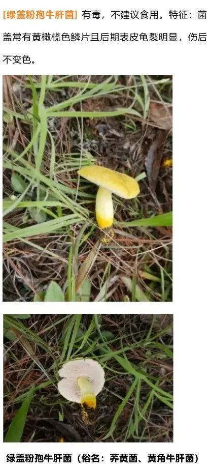 昆明市科协(微信)