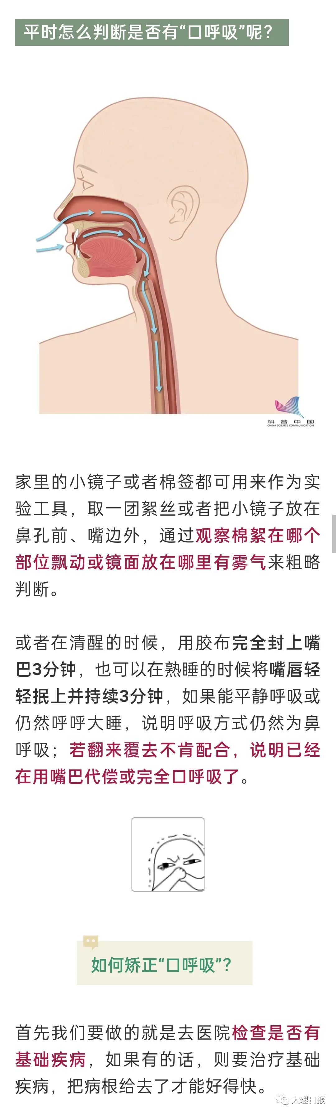 大理日报(微信)
